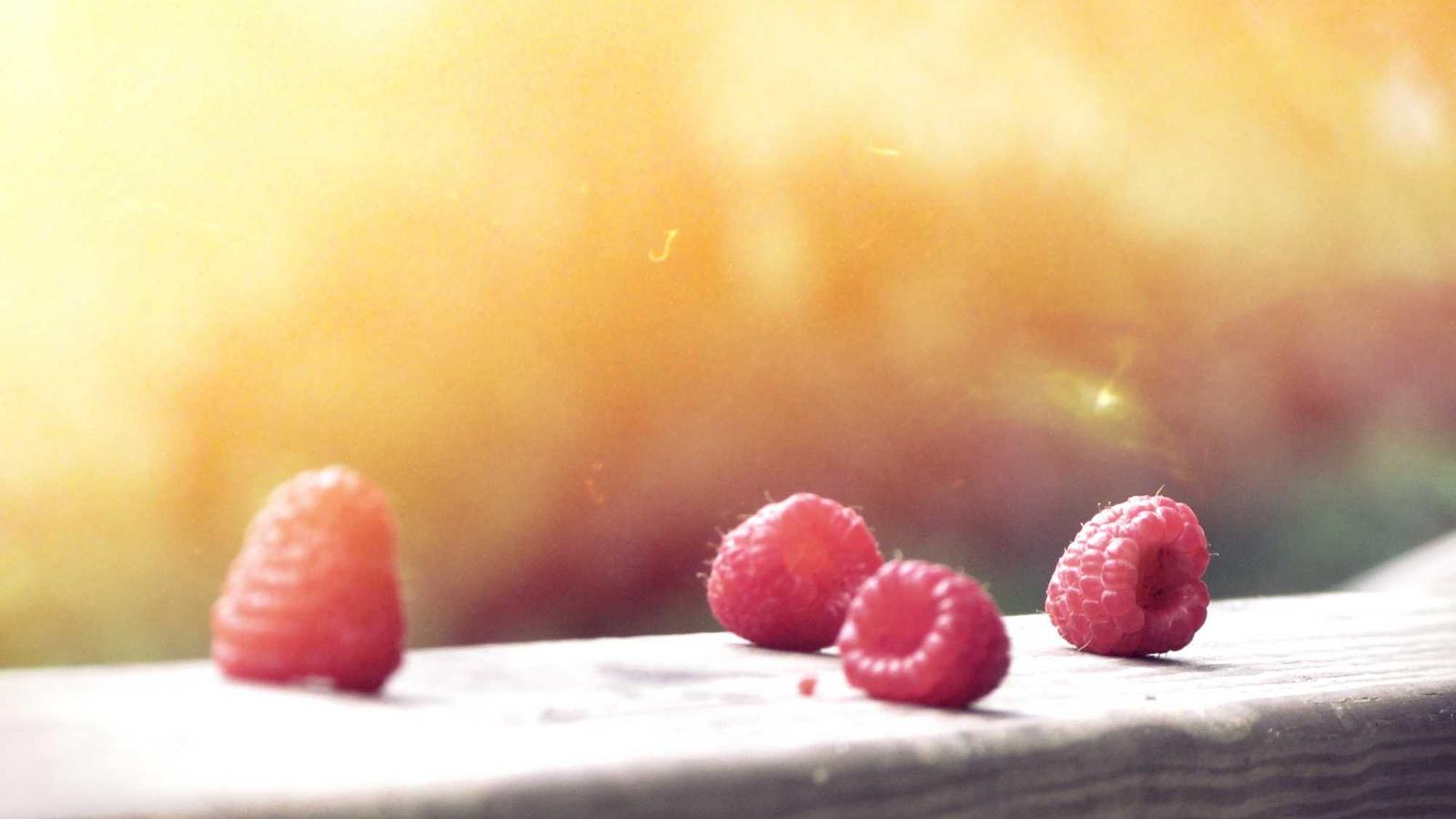 体内CRISPR治ATTR、HAE的后期临床（Intellia 系）